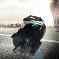 150 series DC brushless motor